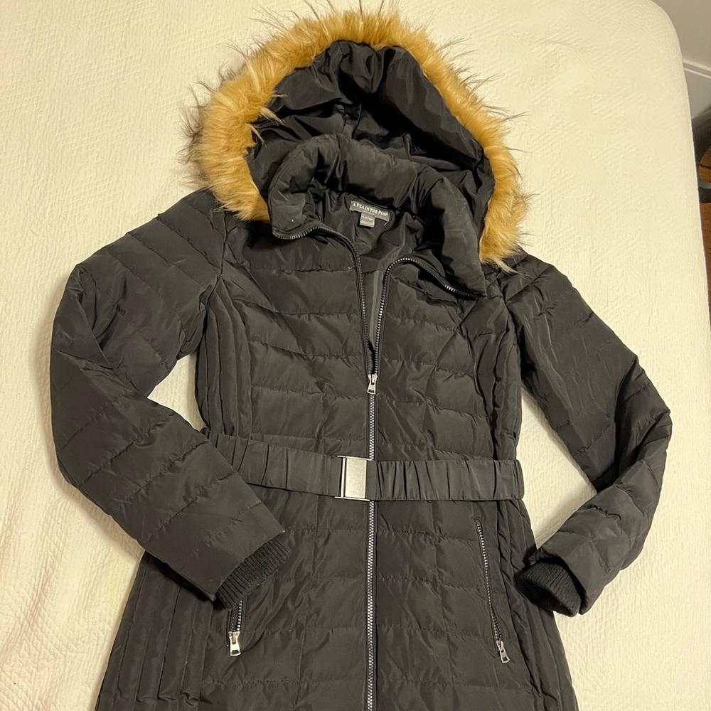 A Pea in the pod maternity coat